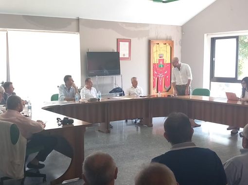 Cia Cuneo sulla grandinata: “Bisogna ripensare il sistema assicurativo per le aziende agricole”