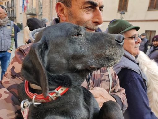 Appuntamenti nella Granda per questo fine settimana di gennaio Appuntamenti nella Granda per questo fine settimana di gennaio