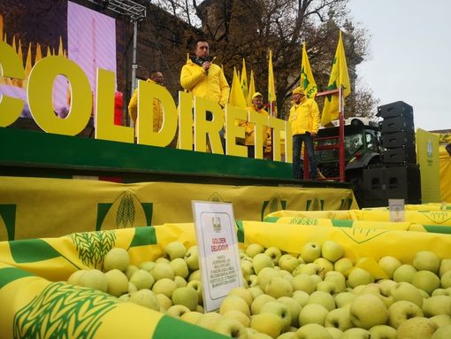 I produttori di frutta in protesta: "I supermercati ci impongono i prezzi. Per un caffè dobbiamo vendere 4 Kg di mele" [FOTO]