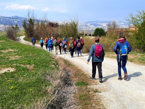 Turisti nelle Langhe Turisti nelle Langhe
