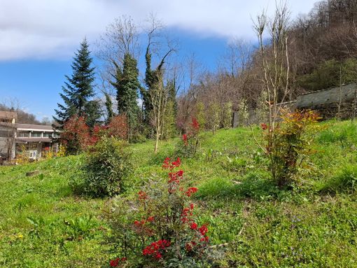 Brondello, scontro sul verde pubblico. Accuse incrociate tra ex sindaca e attuale Amministrazione