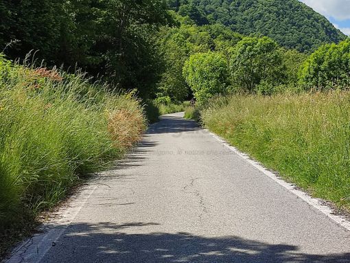 La strada militare verso Demonte
