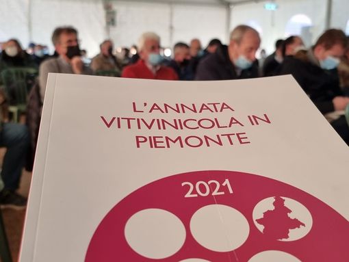 Per il Piemonte vinicolo un’annata da quattro stelle, ma bottiglie in calo del 15% Per il Piemonte vinicolo un’annata da quattro stelle, ma bottiglie in calo del 15%