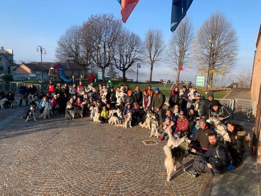 Tra i vigneti di La Morra un partecipato raduno di Siberian Husky