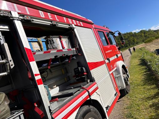 Immagine d'archivio Immagine d'archivio