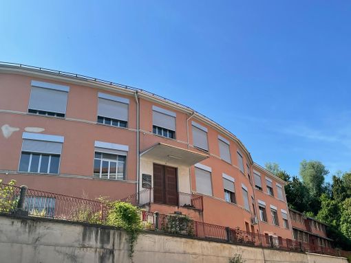 Il padiglione Michelotti Il padiglione Michelotti