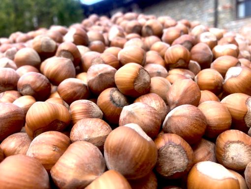 Immagine di repertorio