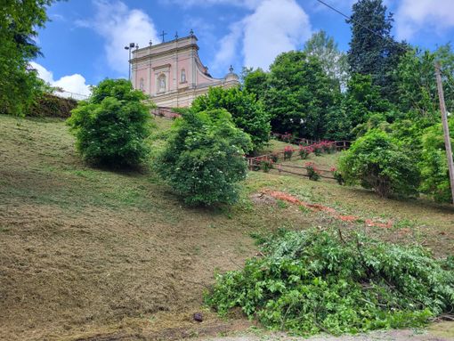 Le attività della Forestale a Neive