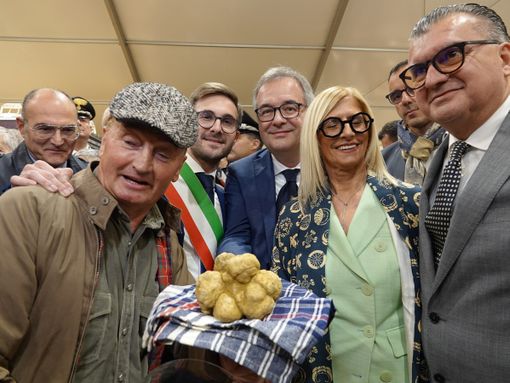 Un milione e mezzo di euro in tre anni: ecco il piano della Regione per tutelare il tartufo Un milione e mezzo di euro in tre anni: ecco il piano della Regione per tutelare il tartufo