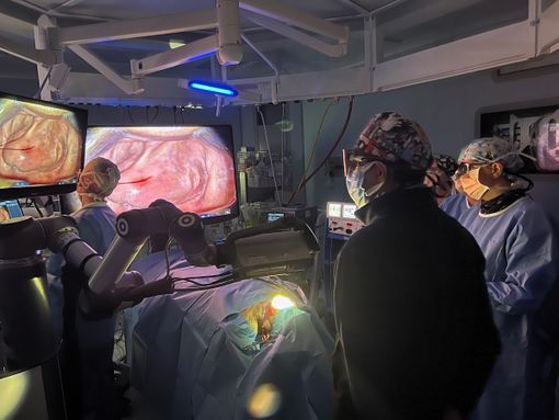 Anatomia in 3D: Alba diventa il centro della della formazione medica con oltre 80 esperti internazionali