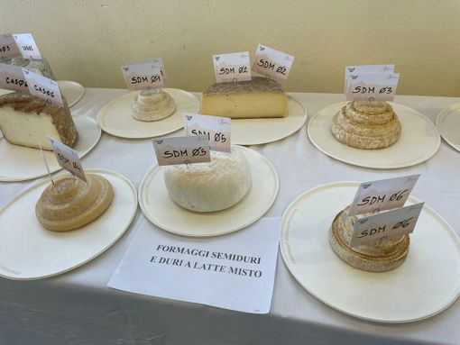 Festival dei formaggi piemontesi, Claudio Conterno (Cia Cuneo): «Valorizzare i produttori e difendere la verità sul latte crudo»