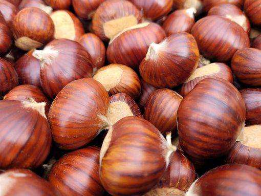 Autunno nel Cuneese tra sapori e misteri: in scena il Re Marrone e le Streghe [VIDEO]