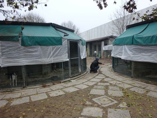 Il canile intercomunale di Pollenzo