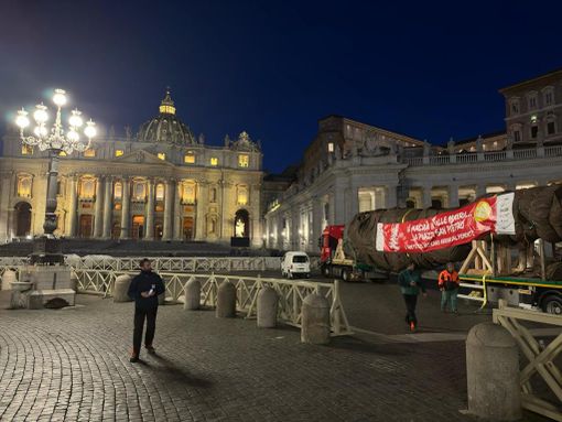 Oggi l'accensione dell'albero di Natale donato dal Piemonte a Papa Francesco