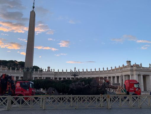 L'abete di Macra ha raggiunto il Vaticano: all'alba di oggi la consegna [VIDEO]