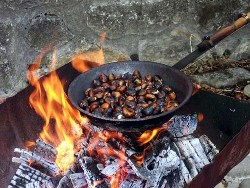 Tartufi, castagne, cavoli: i frutti dell'autunno protagonisti degli eventi del weekend in provincia Granda