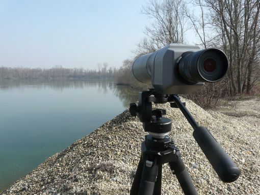 Parco del Monviso, realizzato il censimento degli uccelli acquatici: Germano Reale e Alzavola le specie più presenti Parco del Monviso, realizzato il censimento degli uccelli acquatici: Germano Reale e Alzavola le specie più presenti
