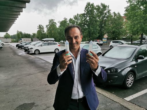 Cimice asiatica, in Piemonte parte la controffensiva: rilasciata la vespa samurai in 100 siti regionali