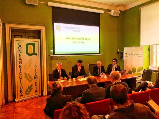 Produzioni scarse ma di qualità: Confagricoltura tira le somme dell'annata agraria