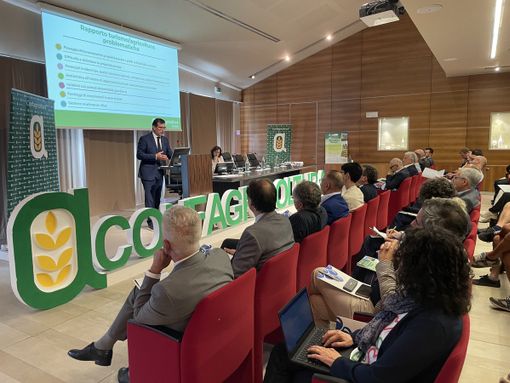 Pianificazione e consapevolezza per migliorare sempre più il rapporto tra agricoltura e turismo