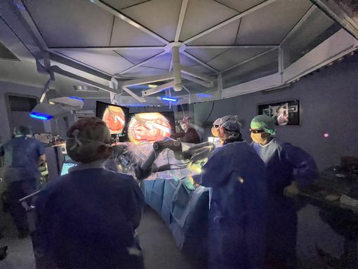 Alla Fondazione Ferrero di Alba due incontri medici sull'Oncologia Cervico-Cefalica