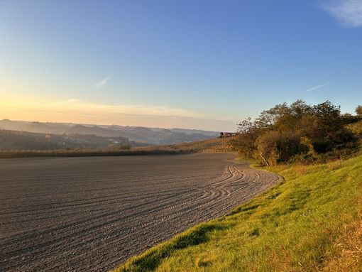 IL METEO / Tempo stabile a oltranza con temperature in lieve calo, ma comunque oltre la media del periodo