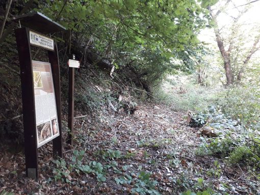 Riaperto il sentiero della Fossa dei Cinghiali a Monteu Roero, nel cuore delle Rocche