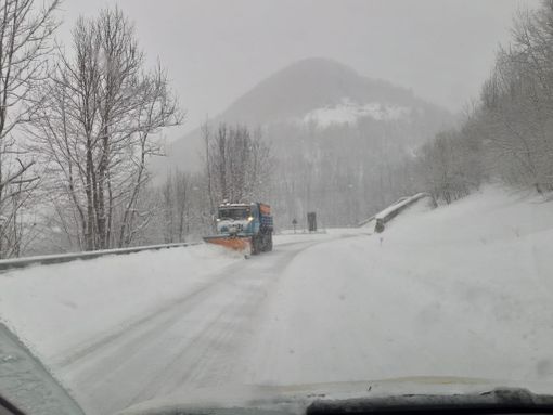 Immagine di repertorio Immagine di repertorio