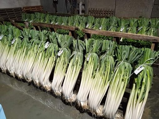 Il porro di Cervere da lunedì 2 ottobre sugli scaffali della Grande distribuzione