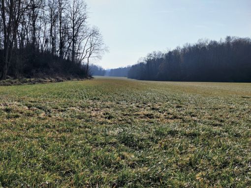 Le campagne al confine tra le province di Torino e Cuneo, dove sarebbe dovuto sorgere l'allevamento