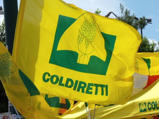 Coldiretti Piemonte, biologico: con +122% vendite in 10 anni nasce associazione Coldiretti Bio