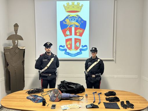 Il materiale sequestrato dai carabinieri Il materiale sequestrato dai carabinieri