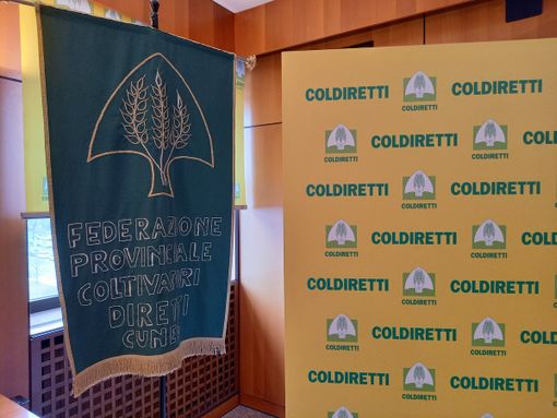 Formazione, cultura e amore per i territori vitivinicoli UNESCO: presentato il progetto di Coldiretti e Paesaggi Vitivinicoli di Langhe, Roero e Monferrato