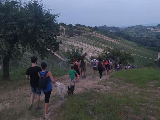 Roberto Vecchioni, ospite della rassegna