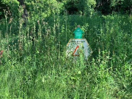 "Quanta incuria al parco di San Cassiano ad Alba"