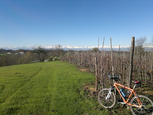 “Pedalata Cuore in Mente nei vigneti, noccioleti, nelle terre dei tartufi”