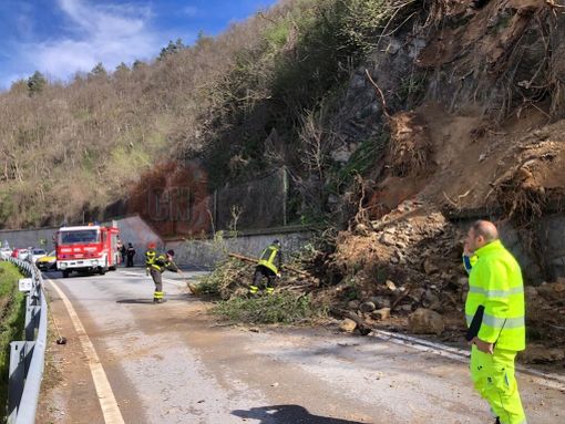 Immagine di repertorio