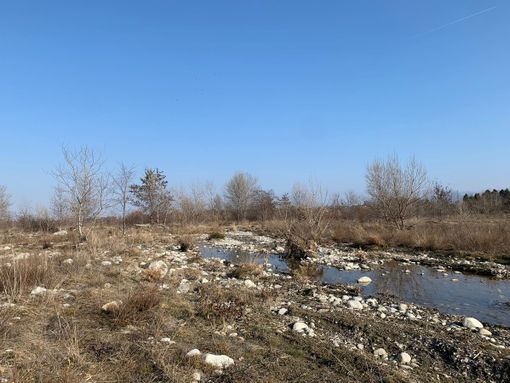 Allarme siccità, Coldiretti Piemonte: "SOS clima senza piogge e neve”