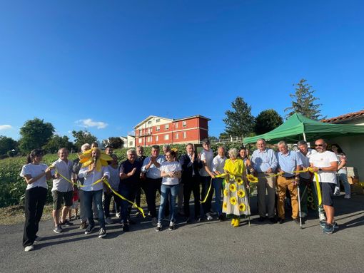 Farigliano: aperto il labirinto con dieci mila metri quadrati di girasoli [VIDEO]