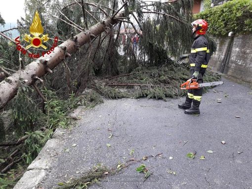 Torna l'allerta gialla sulla provincia di Cuneo: rischio di allagamenti, piccole frane e caduta di alberi