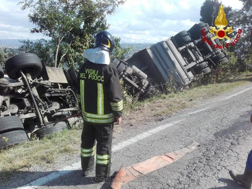 Camion si rovescia a Barolo: duecento maiali morti nell’incidente