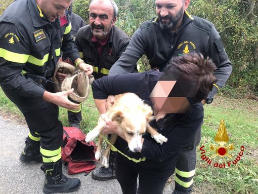 Mango, cane finisce in un dirupo: lo recuperano i vigili del fuoco