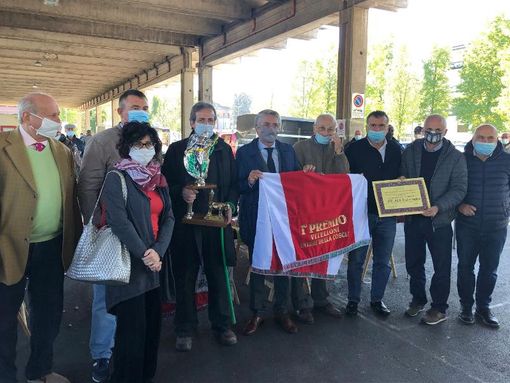 Alba: tutti i vincitori della “Grande rassegna di bovini piemontesi di sottorazza albese della coscia”