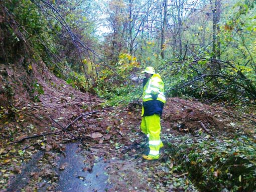 Immagine di repertorio