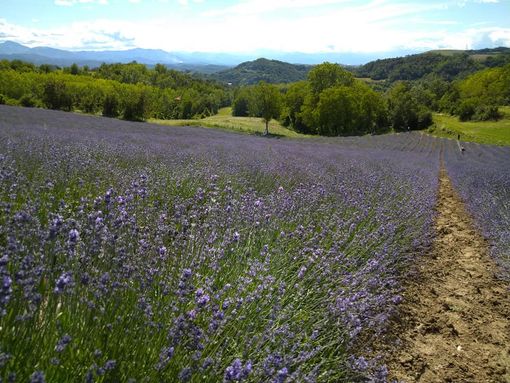 Foto di Silvano Giacosa