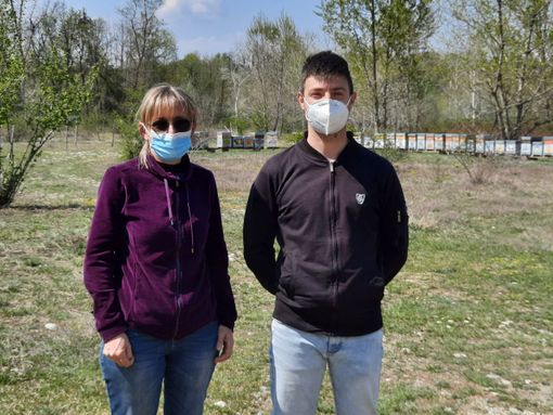 Lidia Agnello, presidente Aspromiele, al lavoro con le api