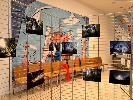 A Mondovicino la mostra "Una rinascita nel bosco" rompe il silenzio attorno alla MCS, rara malattia genetica [VIDEO]