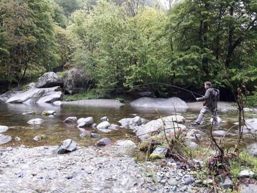 C’è il via libera all’immissione delle trote fario e iridee nelle acque della Granda