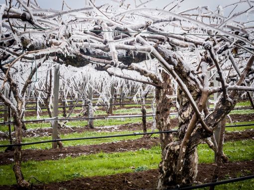 Immagine di repertorio Immagine di repertorio