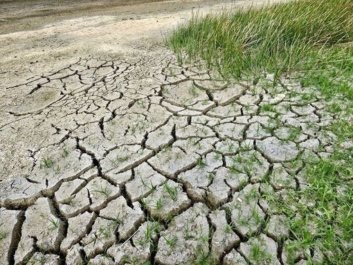 Agricoltura, nuove strategie ed investimenti in Piemonte per la risorsa idrica